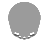 Earrings of the Dimensional Weaver